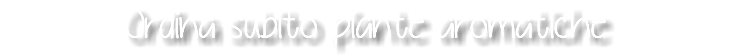 Ordina subito piante aromatiche 